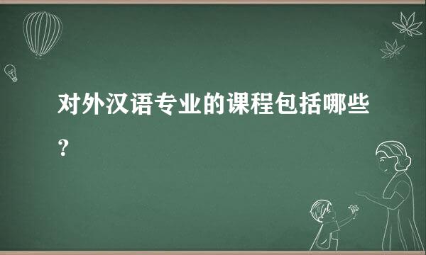 对外汉语专业的课程包括哪些？