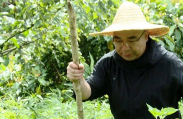 中医孙本新个人资料简介