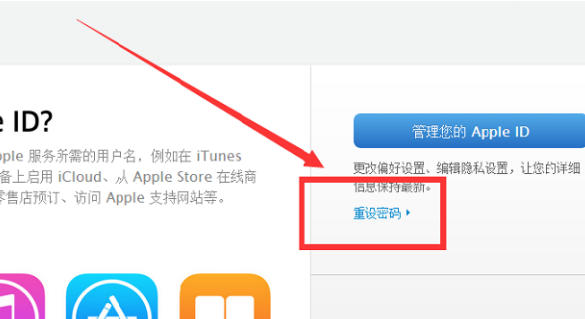 reportaproblem.***.cm什么意思？