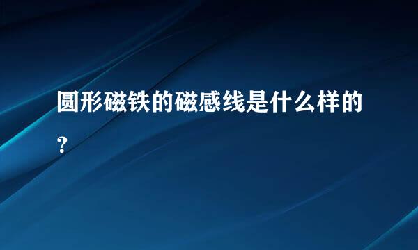 圆形磁铁的磁感线是什么样的？