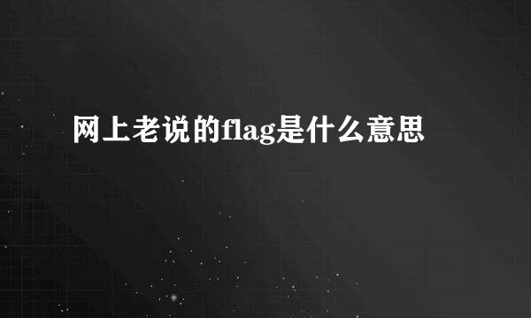 网上老说的flag是什么意思