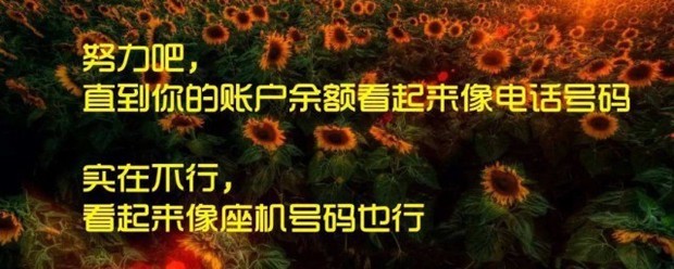 心灵鸡汤经典励志语录