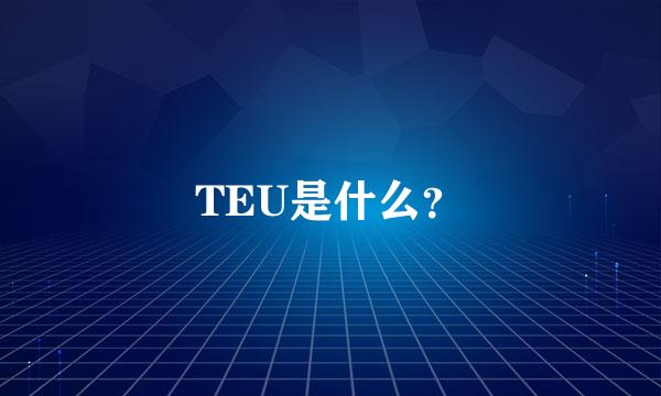 TEU是什么？