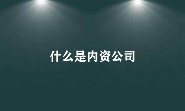 什么是内资公司