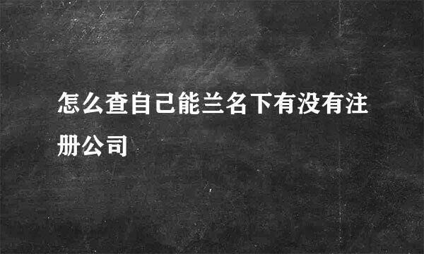 怎么查自己能兰名下有没有注册公司