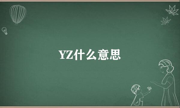 YZ什么意思