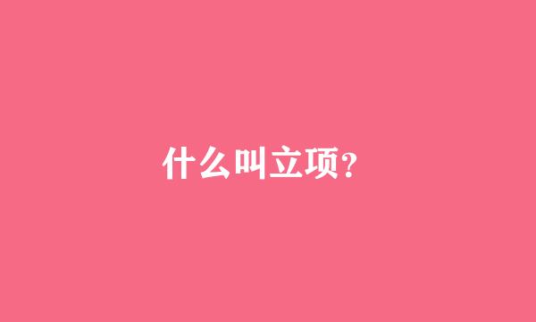 什么叫立项？