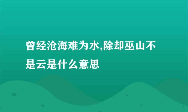 曾经沧海难为水,除却巫山不是云是什么意思