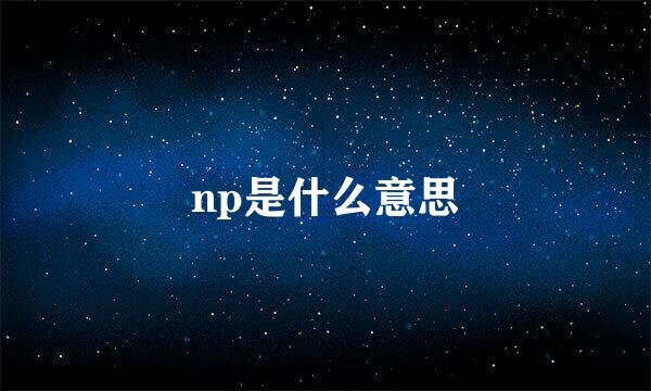 np是什么意思