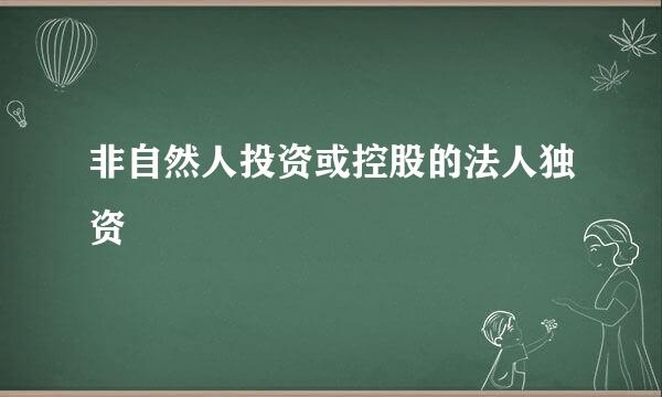 非自然人投资或控股的法人独资