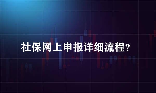 社保网上申报详细流程？