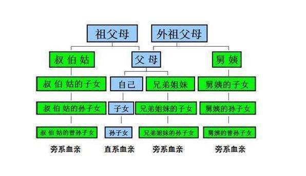 什么是直系亲属?直系亲来自属包括哪些人?