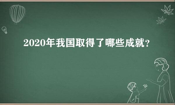 2020年我国取得了哪些成就？