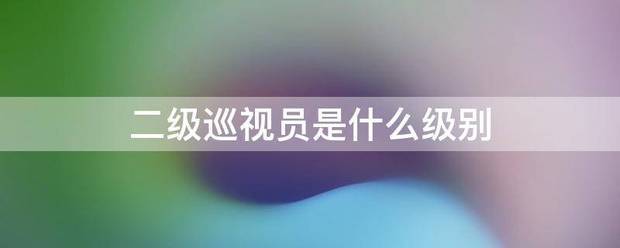 二级巡视员是什么级别