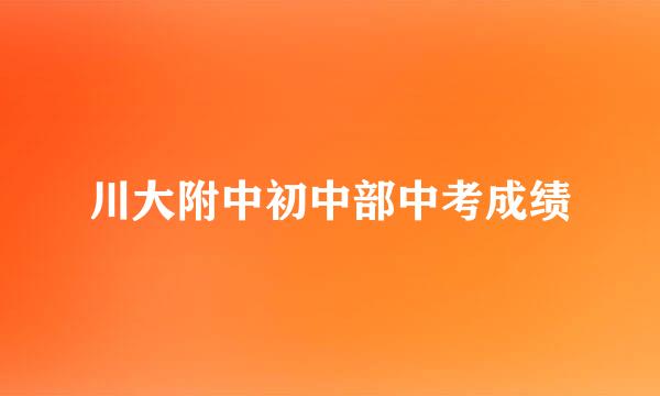 川大附中初中部中考成绩