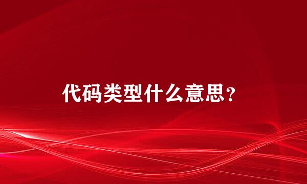 代码类型什么意思？