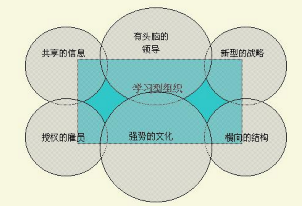 什么是学习型组来自织？