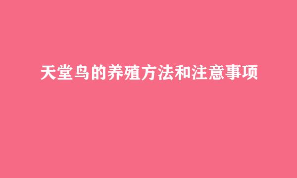 天堂鸟的养殖方法和注意事项