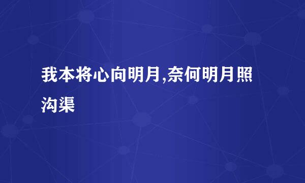 我本将心向明月,奈何明月照沟渠