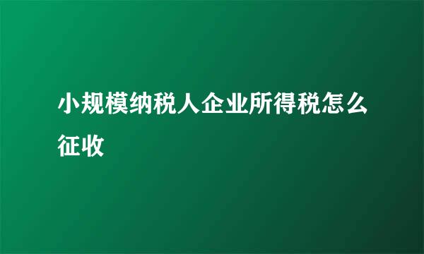 小规模纳税人企业所得税怎么征收