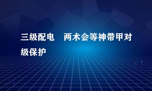 三级配电 两术会等神带甲对级保护