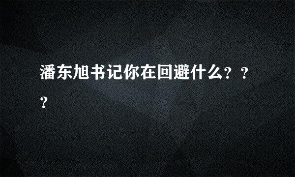 潘东旭书记你在回避什么？？？