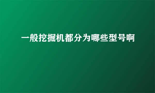 一般挖掘机都分为哪些型号啊