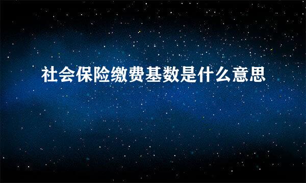 社会保险缴费基数是什么意思