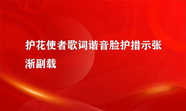 护花使者歌词谐音脸护措示张渐副载