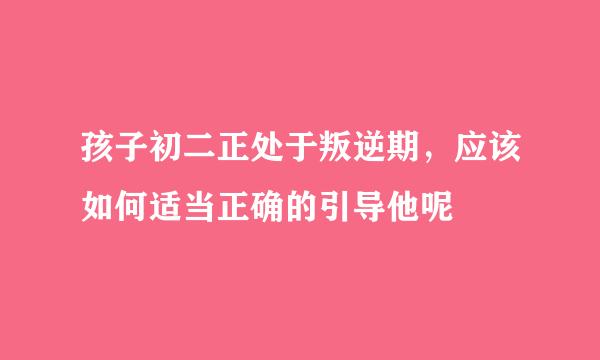 孩子初二正处于叛逆期，应该如何适当正确的引导他呢