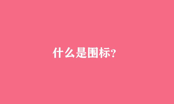 什么是围标？