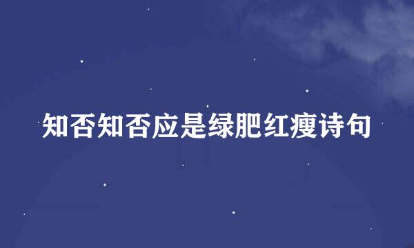 知否知否应是绿肥红瘦诗句