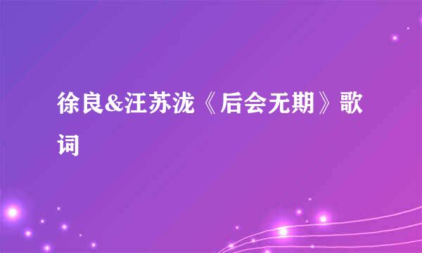 徐良&汪苏泷《后会无期》歌词