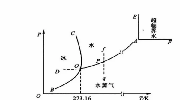 npt是什么会免织三九田职群权意思？