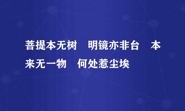 菩提本无树 明镜亦非台 本来无一物 何处惹尘埃