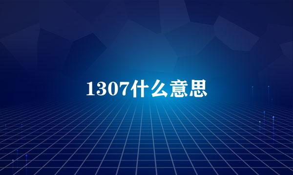 1307什么意思