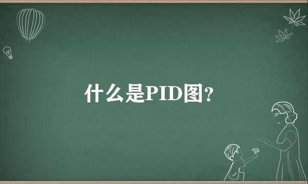 什么是PID图？