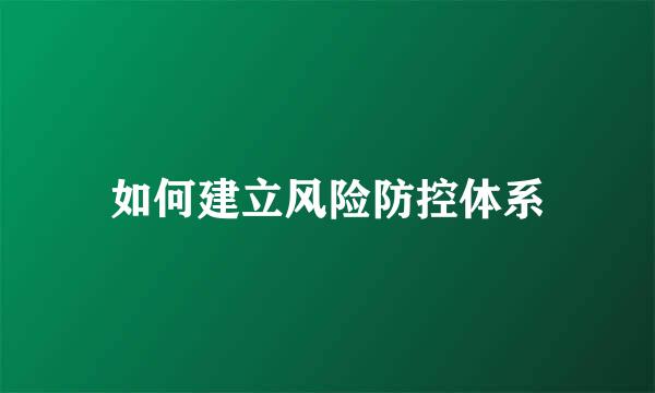 如何建立风险防控体系