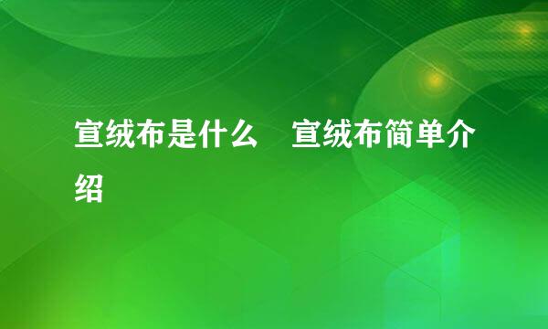 宣绒布是什么 宣绒布简单介绍