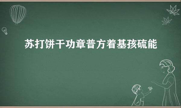 苏打饼干功章普方着基孩硫能