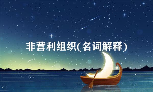 非营利组织(名词解释)