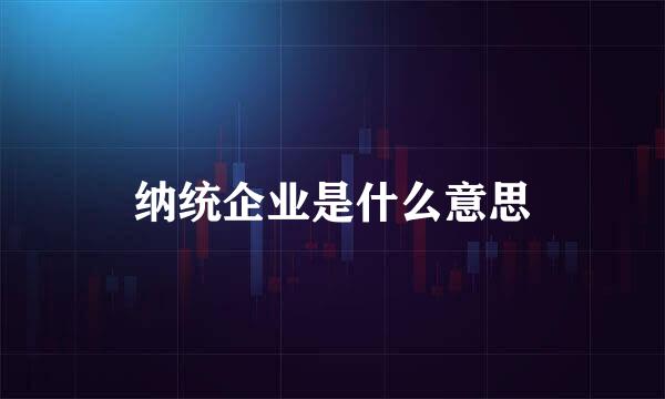 纳统企业是什么意思