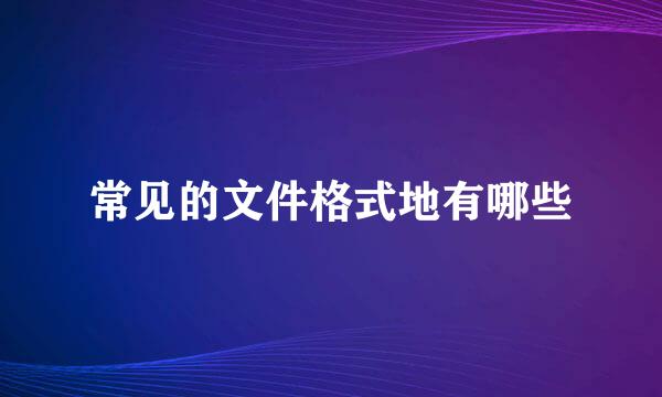 常见的文件格式地有哪些