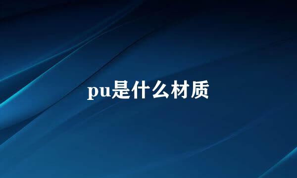 pu是什么材质