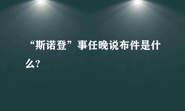 “斯诺登”事任晚说布件是什么?