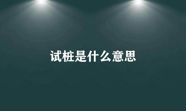 试桩是什么意思