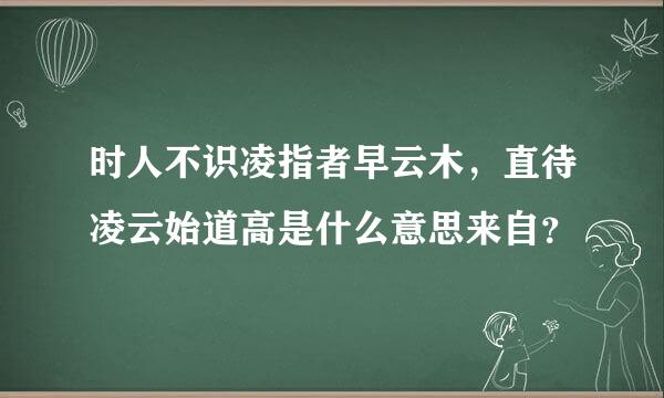 时人不识凌指者早云木，直待凌云始道高是什么意思来自？