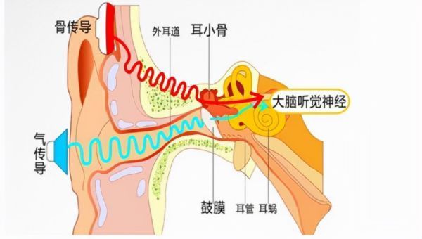 骨传导的原理是什么？？