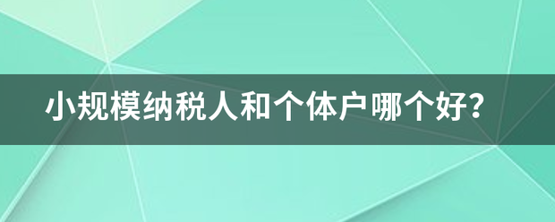 小规模纳税人和个体户哪个好？