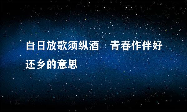 白日放歌须纵酒 青春作伴好还乡的意思